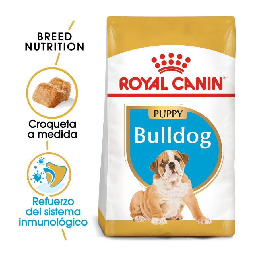 12 kg Royal Canin Puppy Bulldog pienso para perros, , large Imagen numero 1