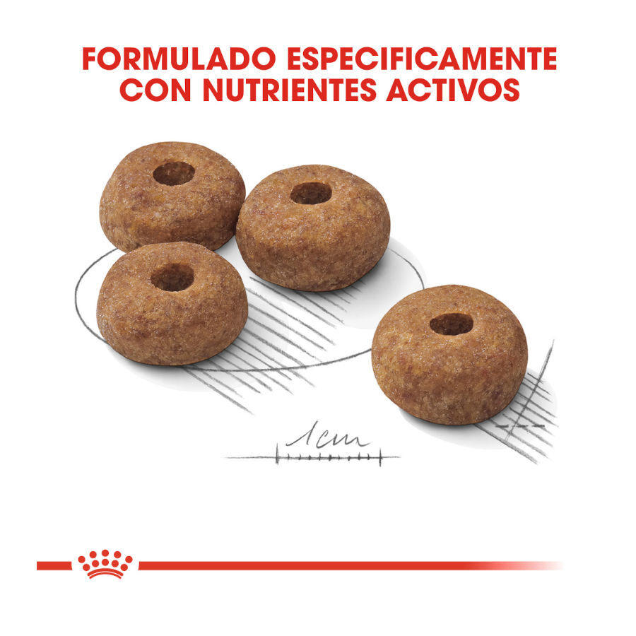 3 kg Royal Canin Sterilised Medium pienso para perros, , large indicador imagen numero 4