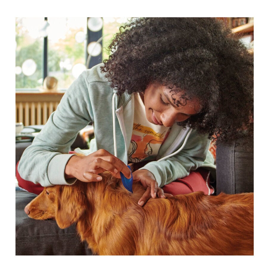 Beaphar FiproTec Pipetas para perros, , large Imagen numero 6