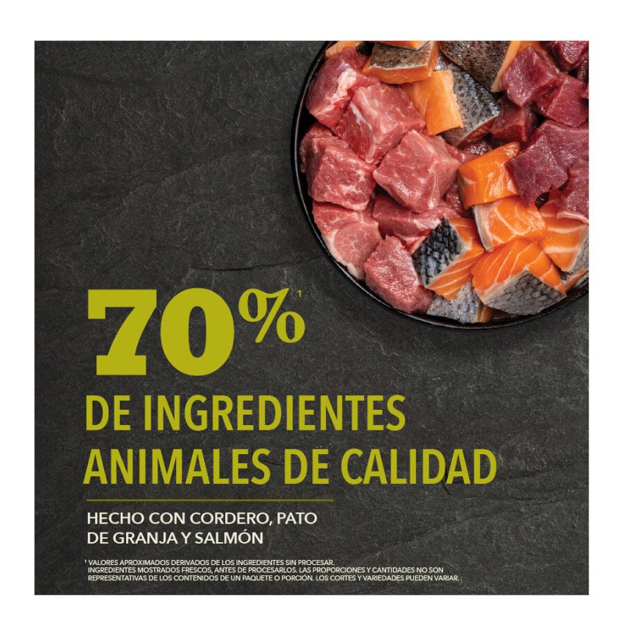 11.4 kg Acana Grasslands pienso para perros, , large Imagen numero 6
