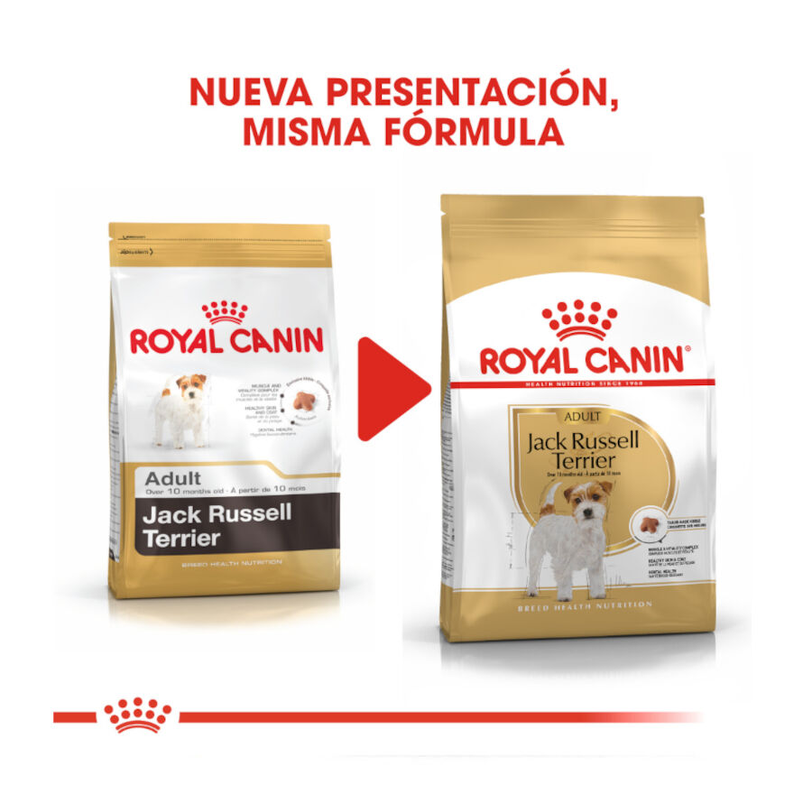 7.5 kg Royal Canin Adult Jack Russell Terrier pienso para perros, , large indicador imagen numero 3