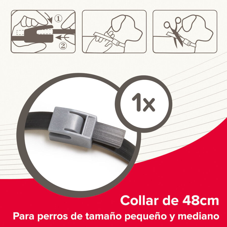 Beaphar Canishield Collar Antiparasitario para perros, , large Imagen numero 6
