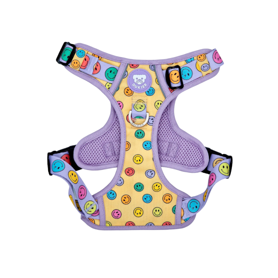 Dukier Smiley Arn&eacute;s Ajustable para perros