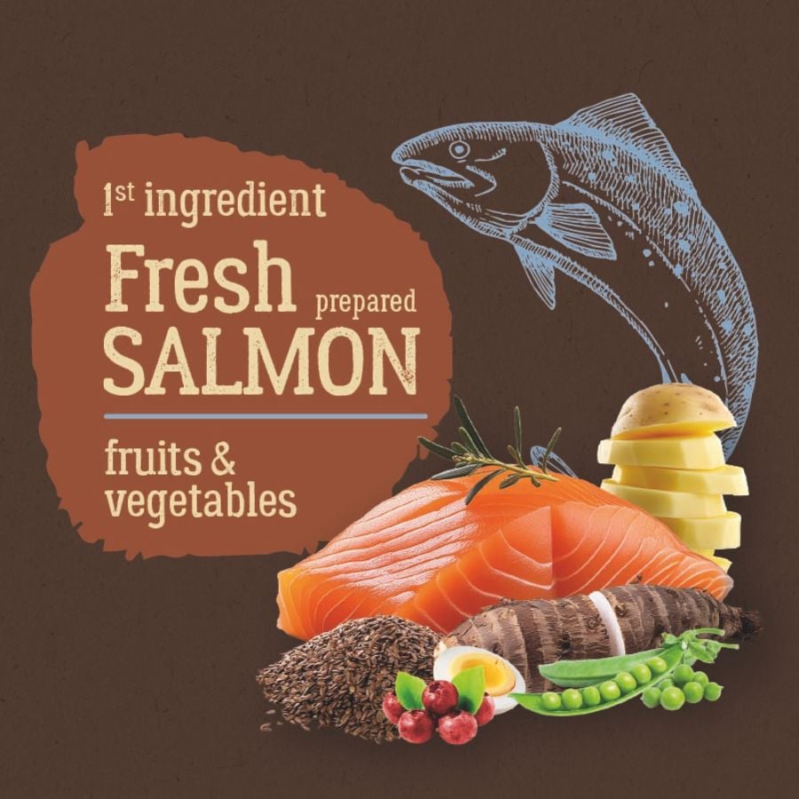 2 kg True Origins Pure Kitten No Grain Free Salm&oacute;n pienso para gatos&nbsp;, , large Imagen numero 3