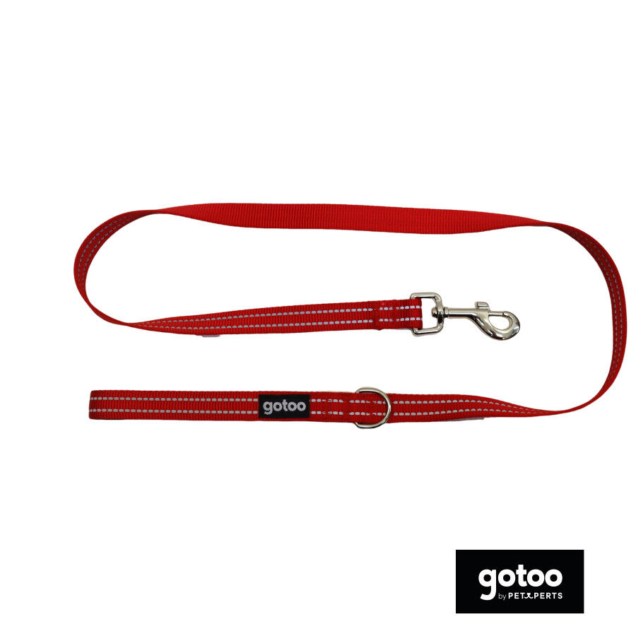 Gotoo Correa de nylon roja reflectante para perros, , large indicador imagen numero 2