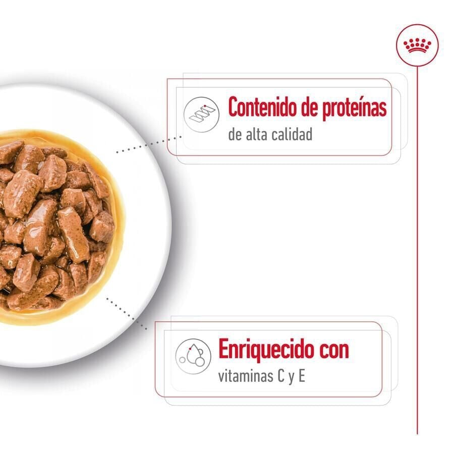 140 g Royal Canin Medium Adult Sobre en salsa para perros, , large indicador imagen numero 4