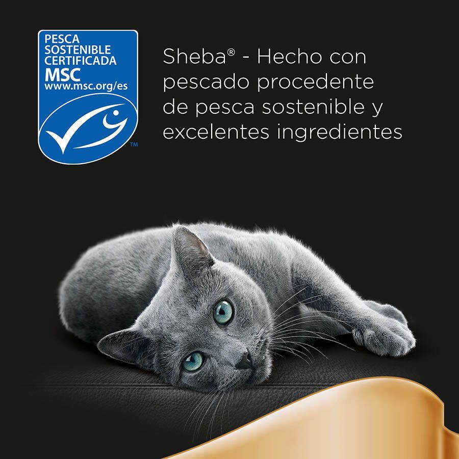 6 sobres x 50 g Sheba D&eacute;lices du Jour en Salsa de at&uacute;n, Bacalao y Pescado Blanco alimento h&uacute;medo para gatos, , large Imagen numero 6