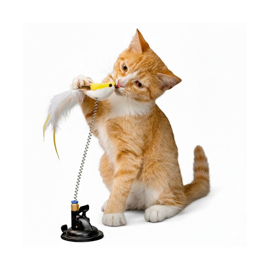 Playology Juguete Interactivo Se&ntilde;uelo P&aacute;jaro para gatos, , large indicador imagen numero 5