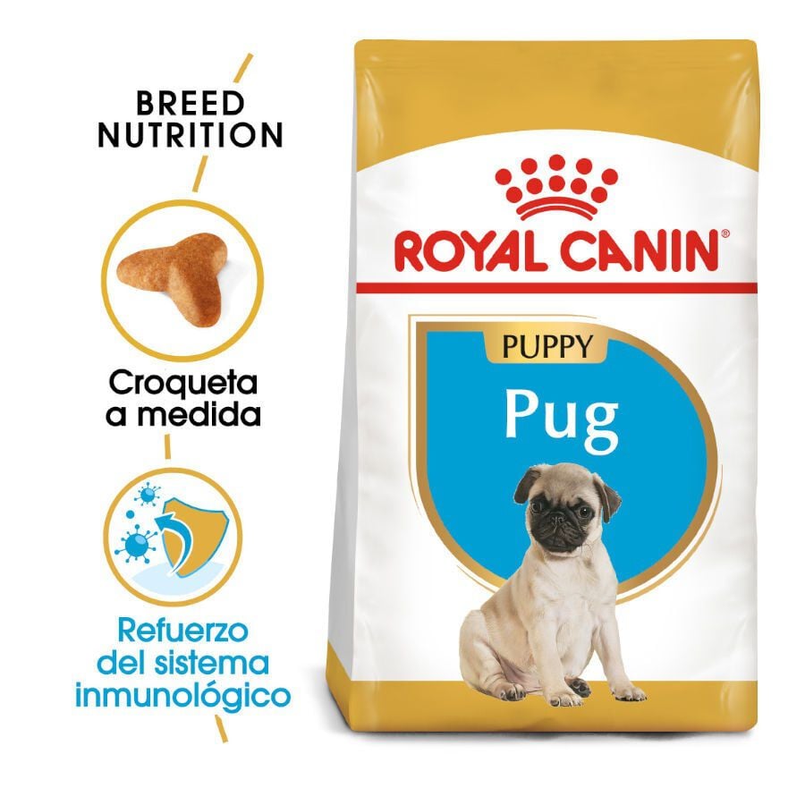 1.5 kg Royal Canin Puppy Pug pienso para perros, , large indicador imagen numero 2