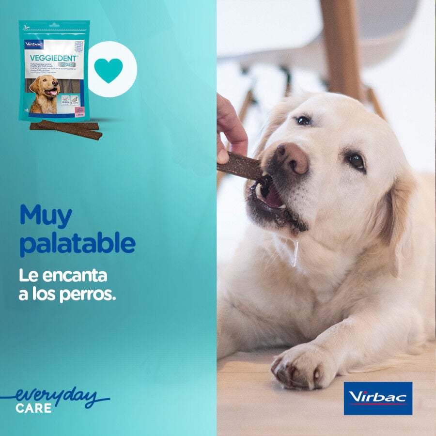 15 barritas Virbac Snacks Dentales VeggieDent Fresh para perros Toy, , large Imagen numero 7