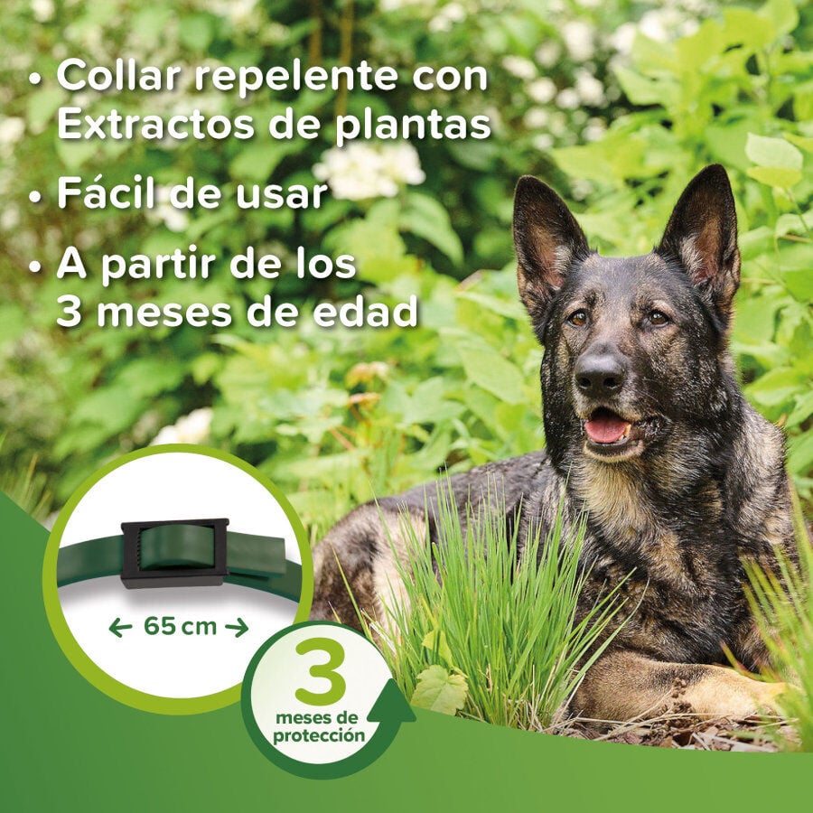 Beaphar Collar repelente para perros, , large Imagen numero 4