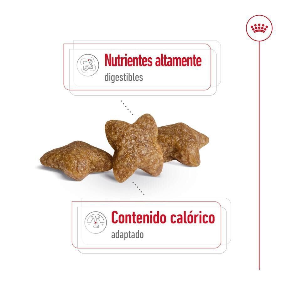 9 kg (8 + 1 kg gr&aacute;tis!) Royal Canin Mini Adult pienso para perros, , large Imagen numero 6
