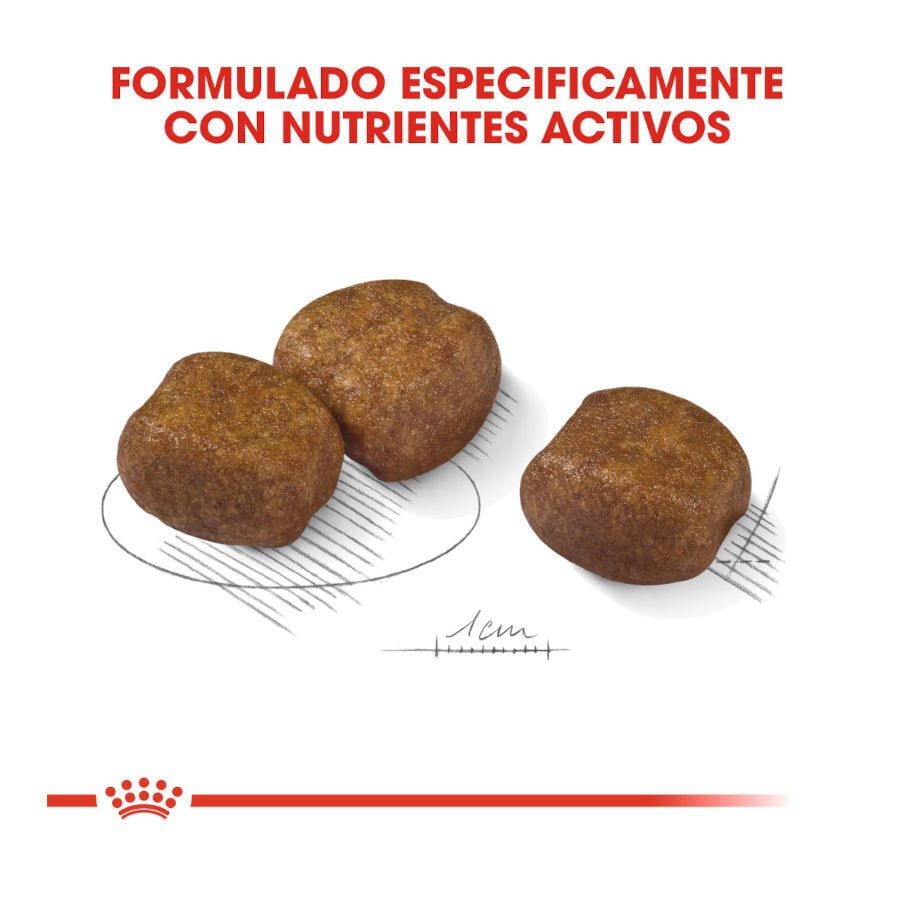 9 kg Royal Canin Dental Care Maxi pienso para perros, , large indicador imagen numero 3