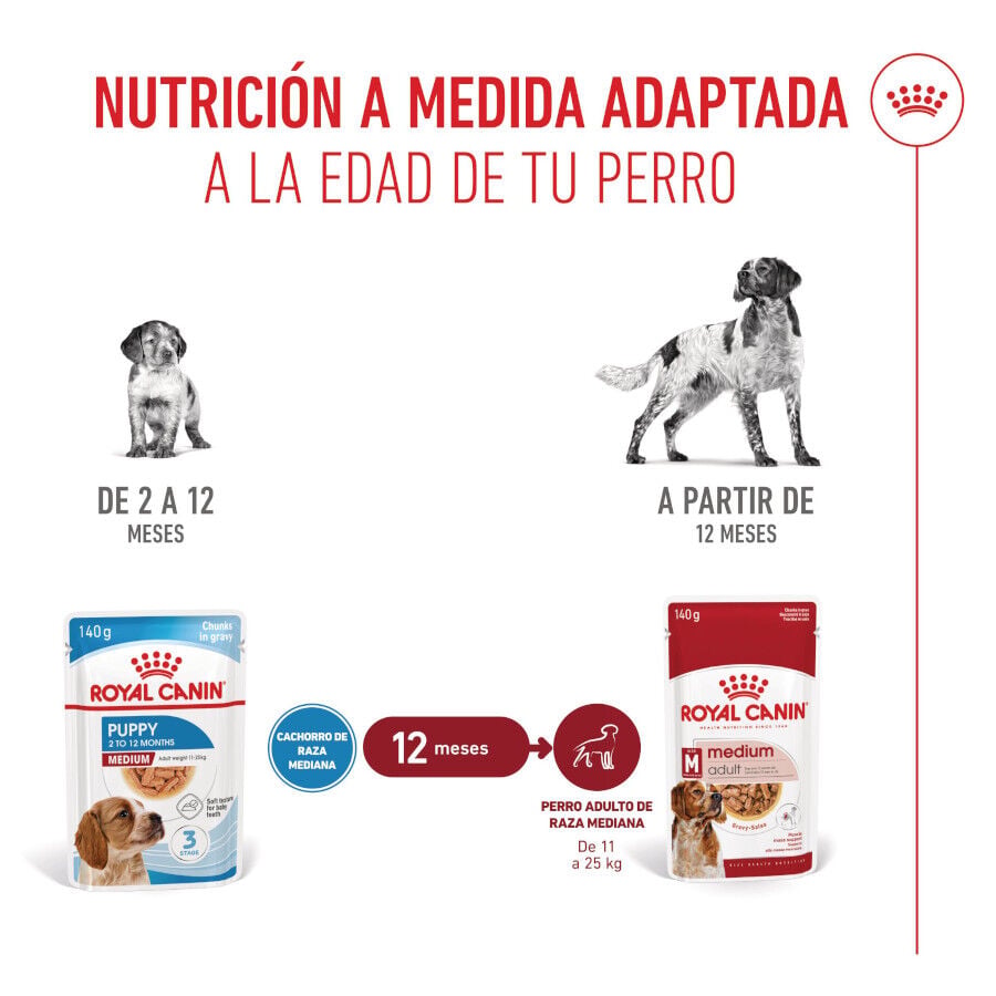 140 g Royal Canin Medium Puppy Sobres, , large indicador imagen numero 5