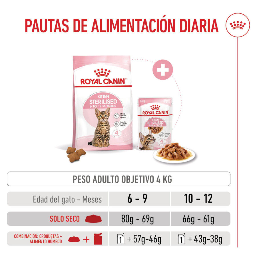 3.5 kg Royal Canin Kitten Sterilised pienso para gatos, , large Imagen numero 9