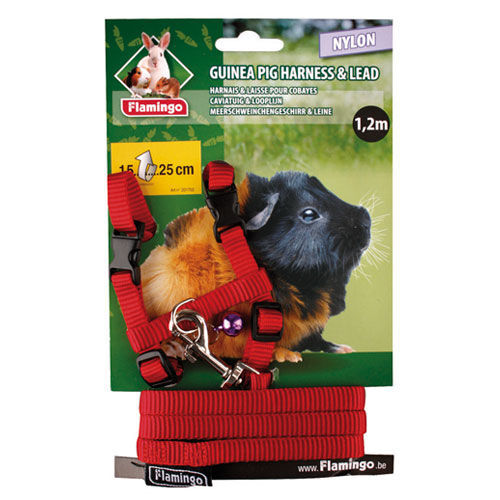 Flamingo Arn&eacute;s con Correa Rojo para cobayas