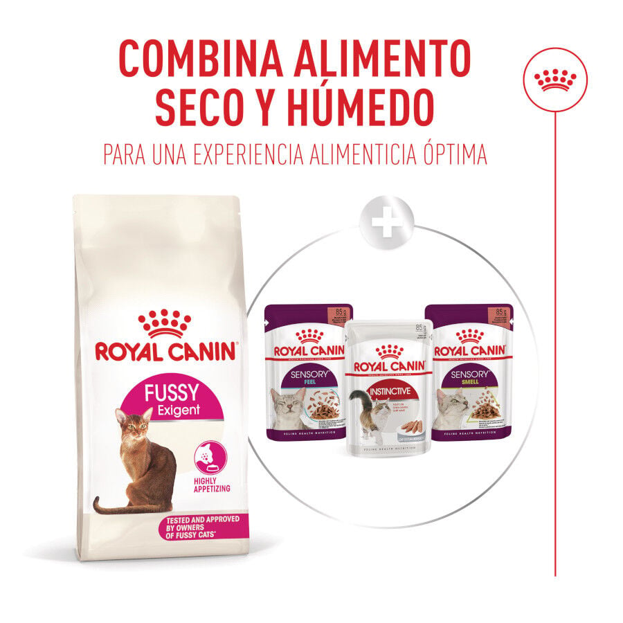 2 kg Royal Canin Fussy Exigent Pienso Ave para gatos, , large Imagen numero 8