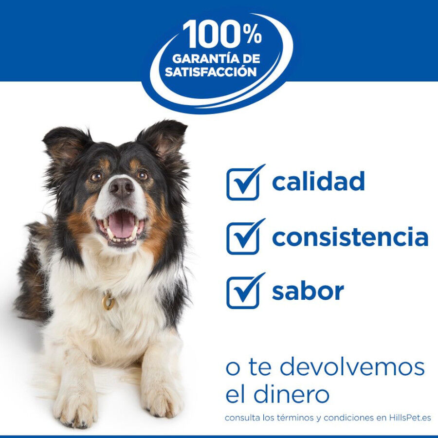 1.5 kg Hill's Science Plan Perfect Digestion Puppy Small y Mini Pollo y Arroz pienso para perros, , large Imagen numero 7