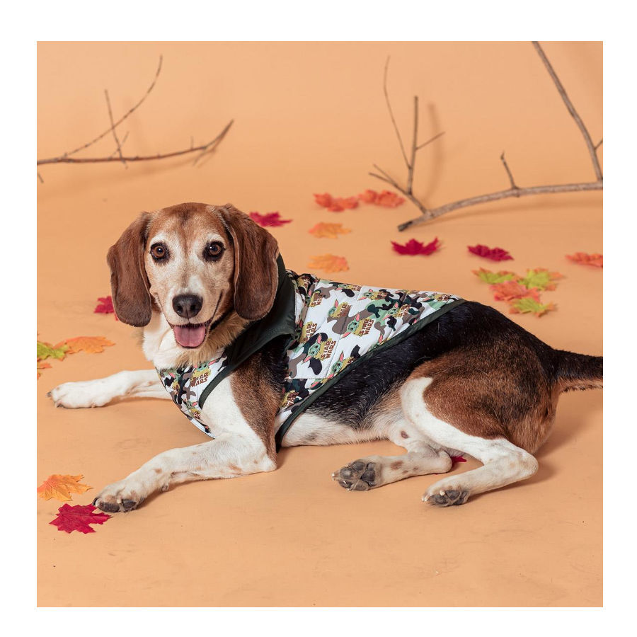Disney Star Wars The Mandalorian Abrigo Acolchado para perros, , large indicador imagen numero 4