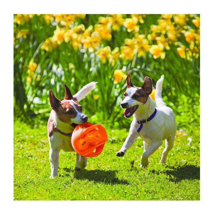 Kong Jumbler pelota en colores surtidos para perros, , large indicador imagen numero 3