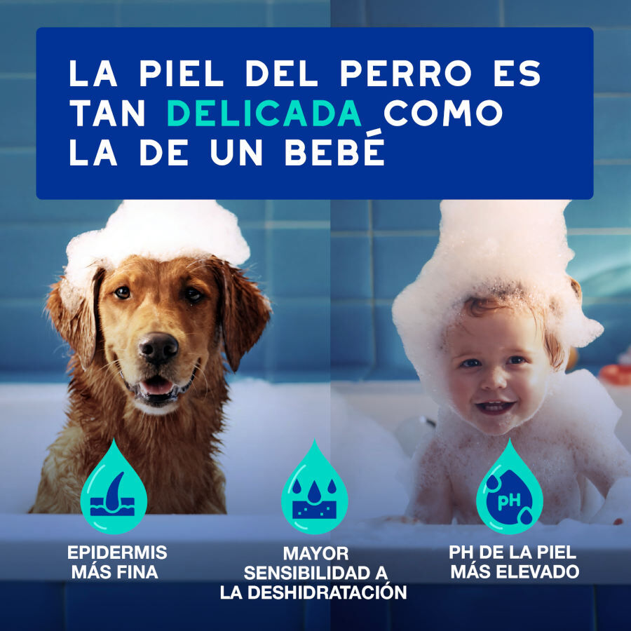 Ceva Douxo Spa Champ&uacute; Antiolor para perros, , large Imagen numero 9