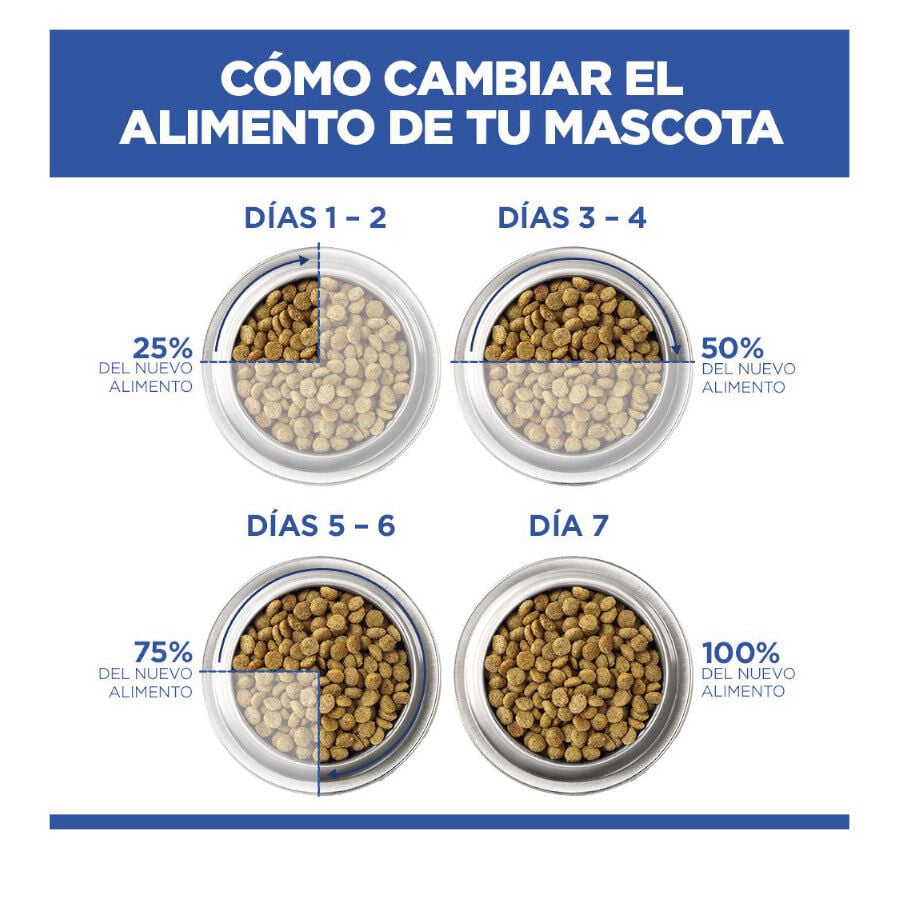 14 kg Hill's Science Plan Hipoalerg&eacute;nico Large Salm&oacute;n pienso para perros, , large indicador imagen numero 6