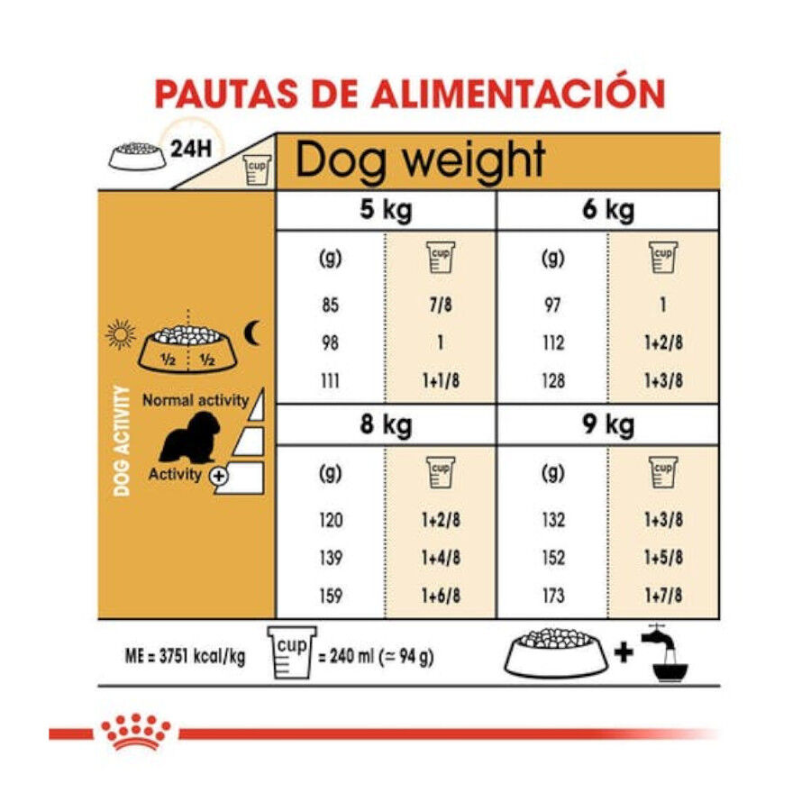 3 kg Royal Canin Adult Cavalier King Charles pienso para perros, , large Imagen numero 5