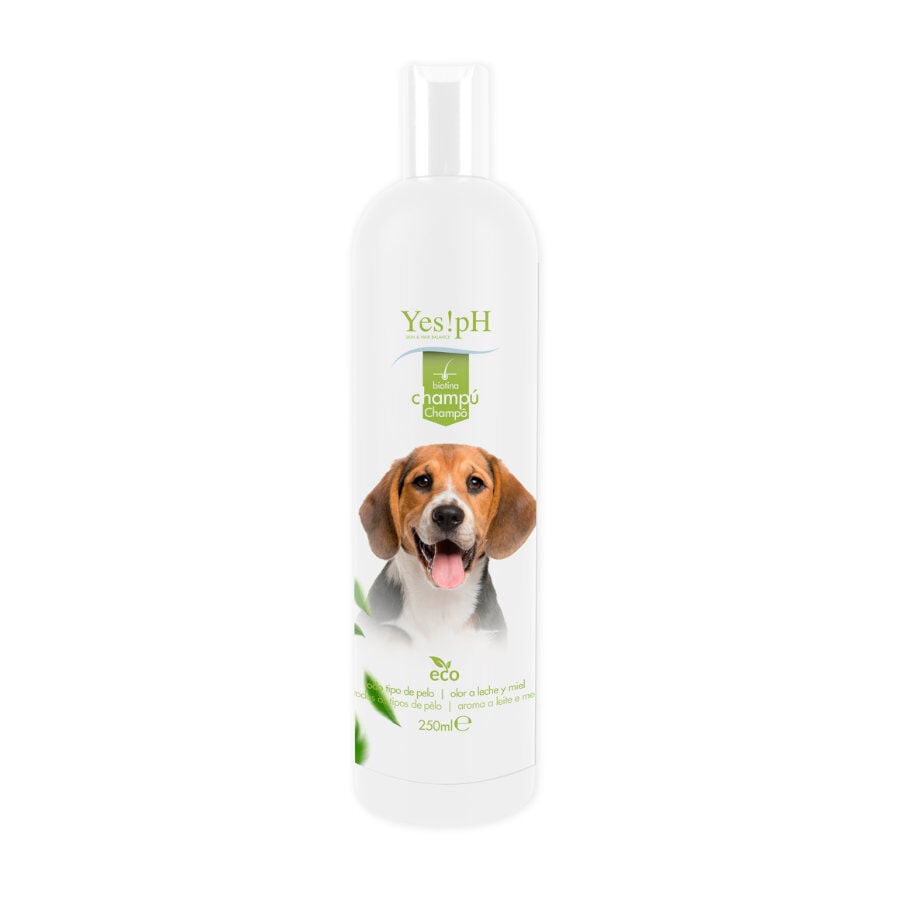 Yes!pH Eco Champ&uacute; para perros, , large Imagen numero 1