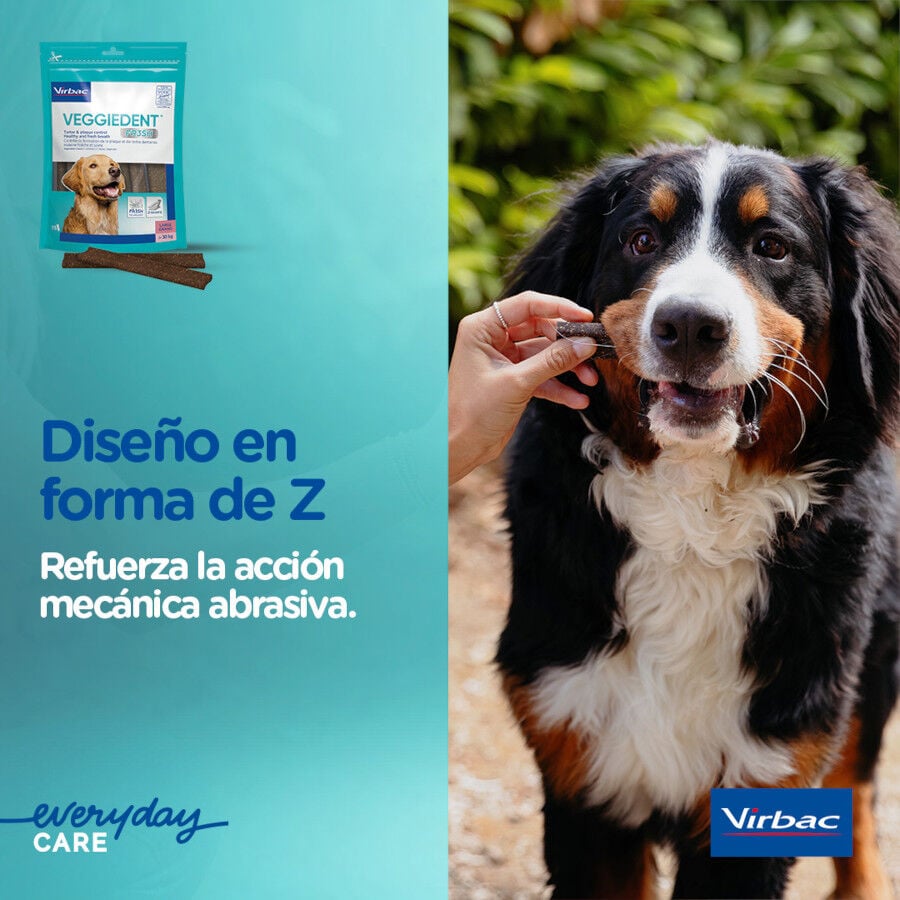 15 barritas Virbac Snacks Dentales VeggieDent Fresh para perros Toy, , large indicador imagen numero 6