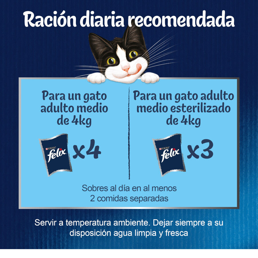 12 sobres x 85 g Felix Fantastic Selecciones Favoritas sobres en gelatina , , large Imagen numero 3