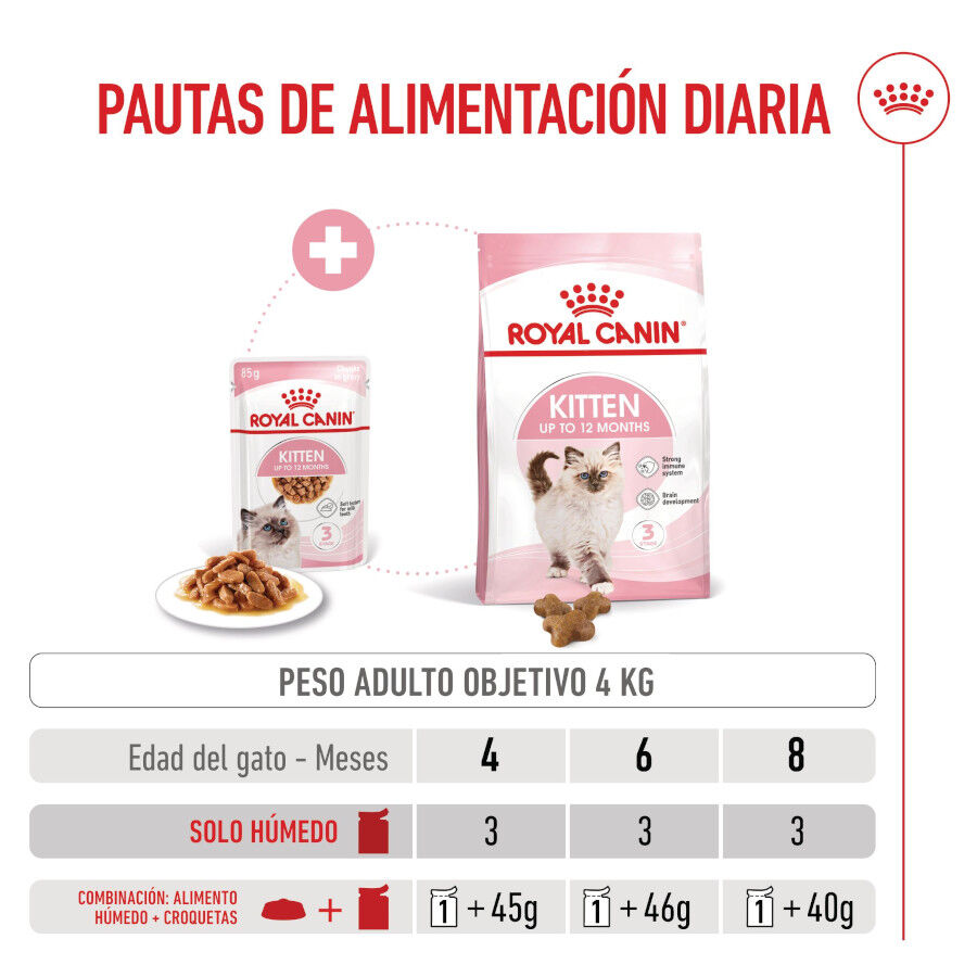 85 g Royal Canin Kitten sobre en salsa para gatos, , large indicador imagen numero 7