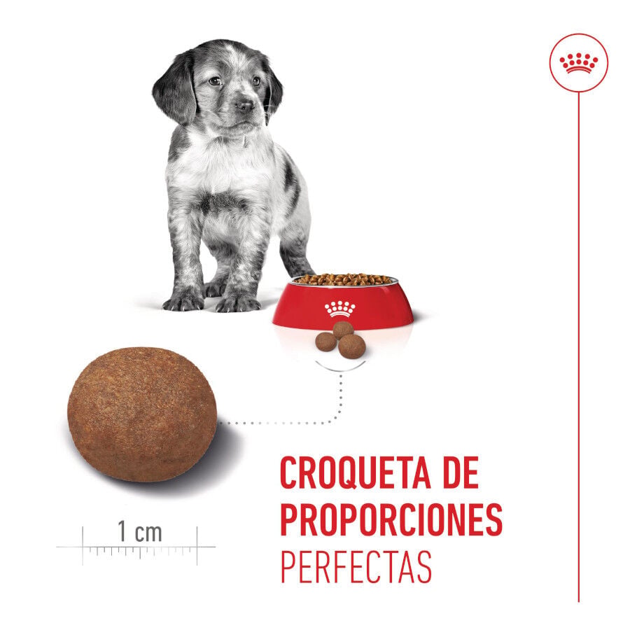 15 kg Royal Canin Puppy Medium pienso para perros&nbsp;, , large Imagen numero 5