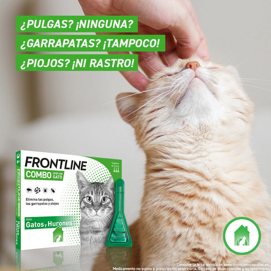 Frontline Combo Pipetas Antiparasitarias para gatos y hurones, , large indicador imagen numero 5