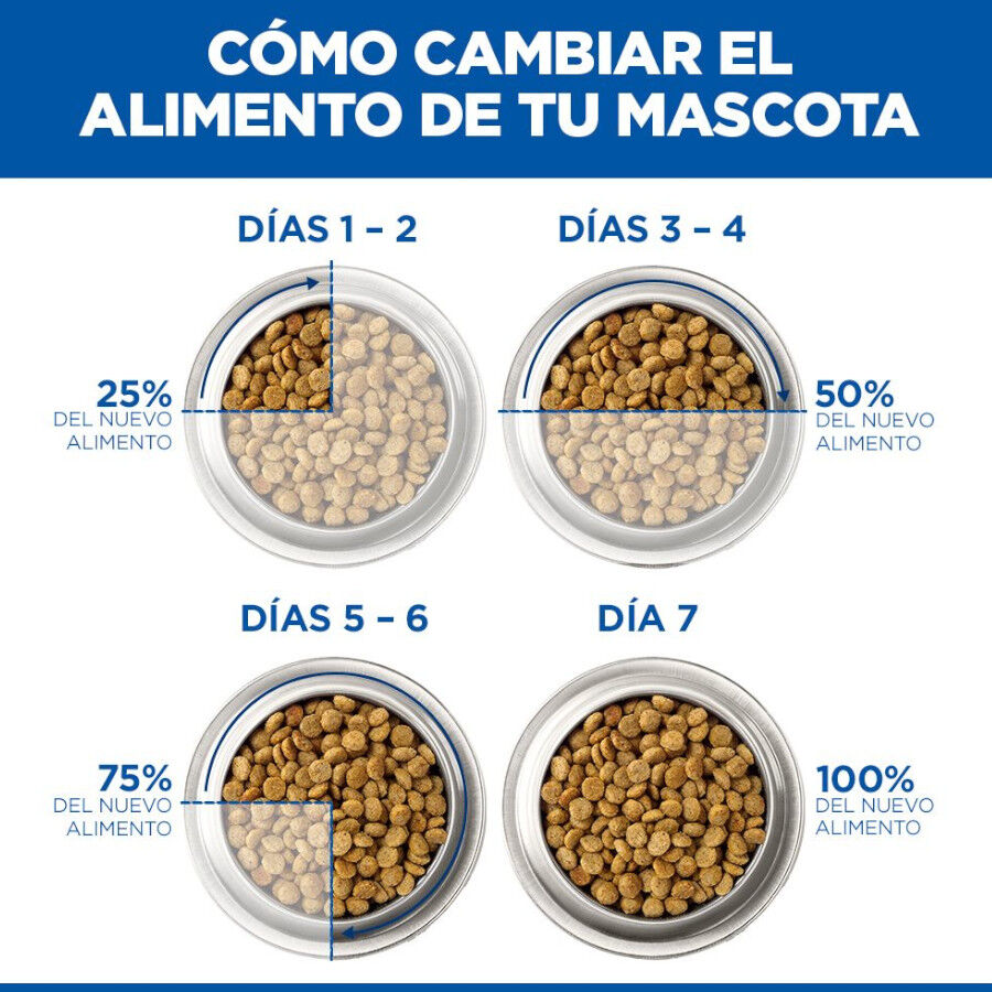 10 kg Hill's Science Plan Mature Adult 7+ Pollo pienso para gatos, , large Imagen numero 10