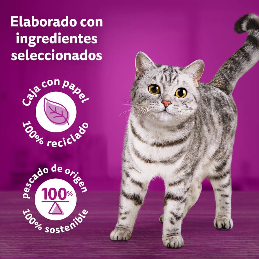 4 sobres x 85 g Whiskas Duo Combos de Carne Sobre en gelatina para gatos, , large indicador imagen numero 4