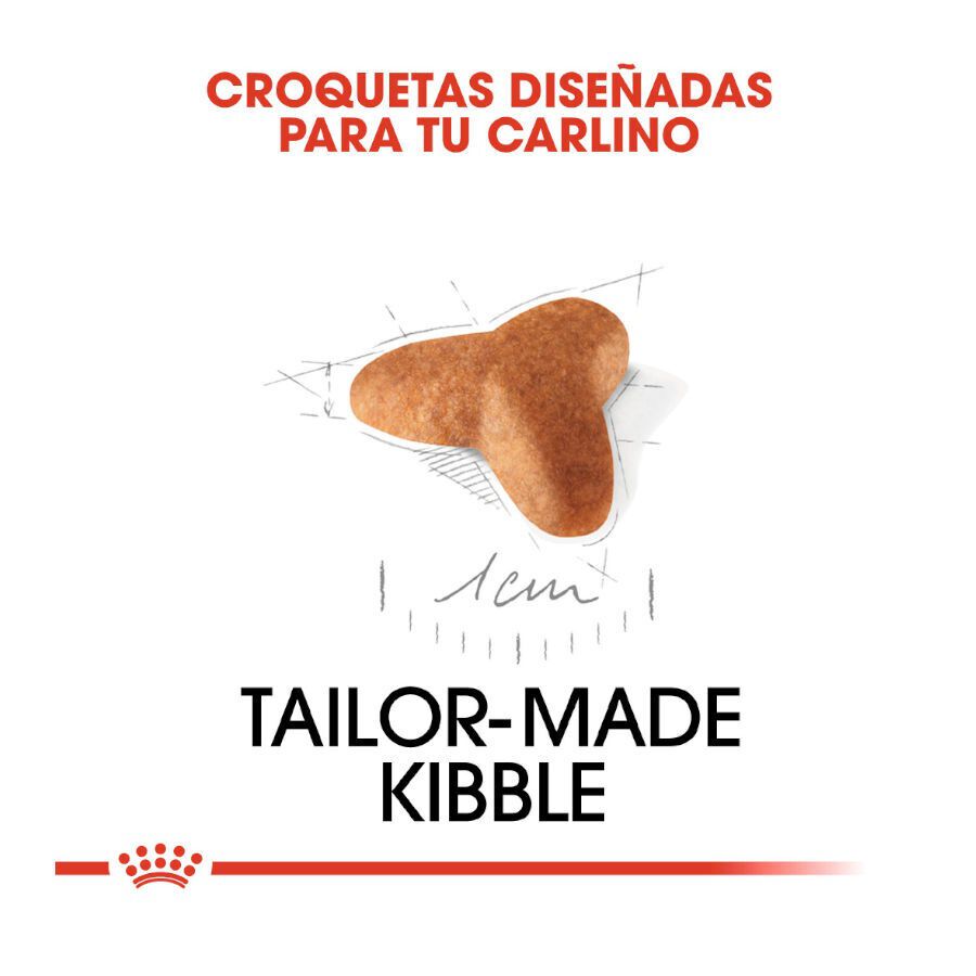 1.5 kg Royal Canin Puppy Pug pienso para perros, , large indicador imagen numero 5