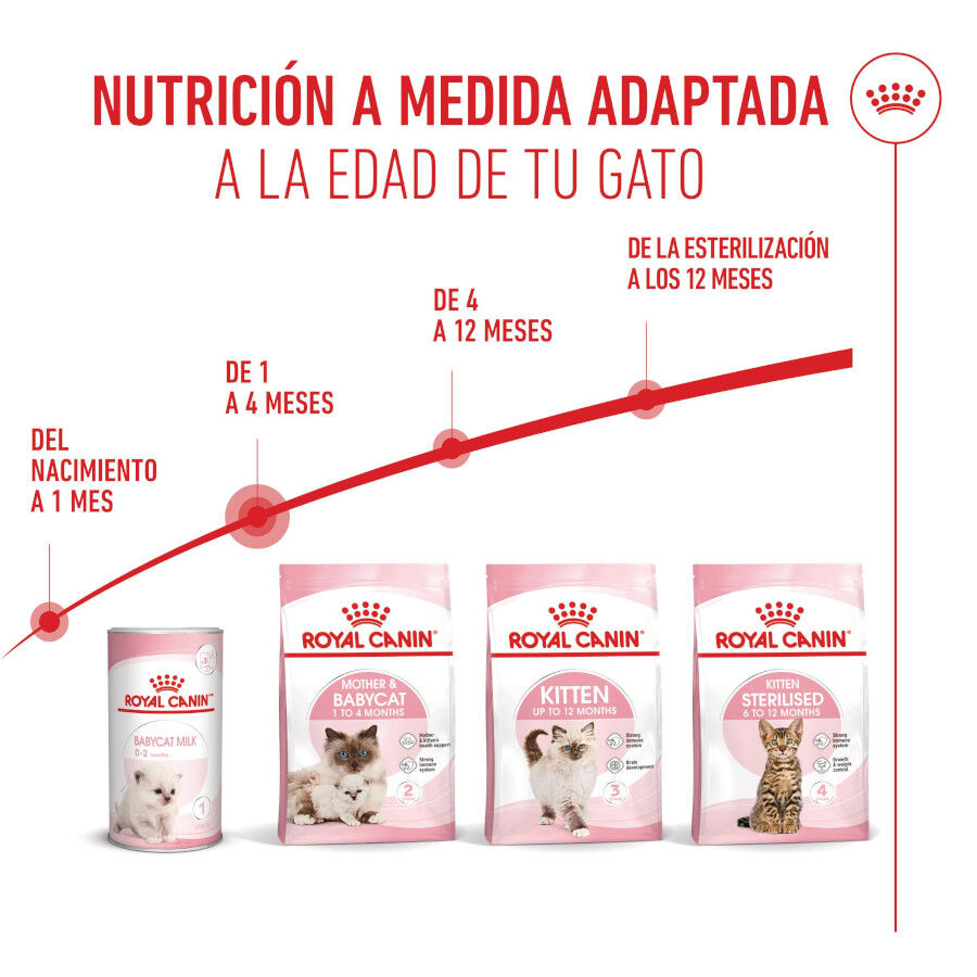 4 kg Royal Canin Mother & Babycat pienso para gatos, , large Imagen numero 7