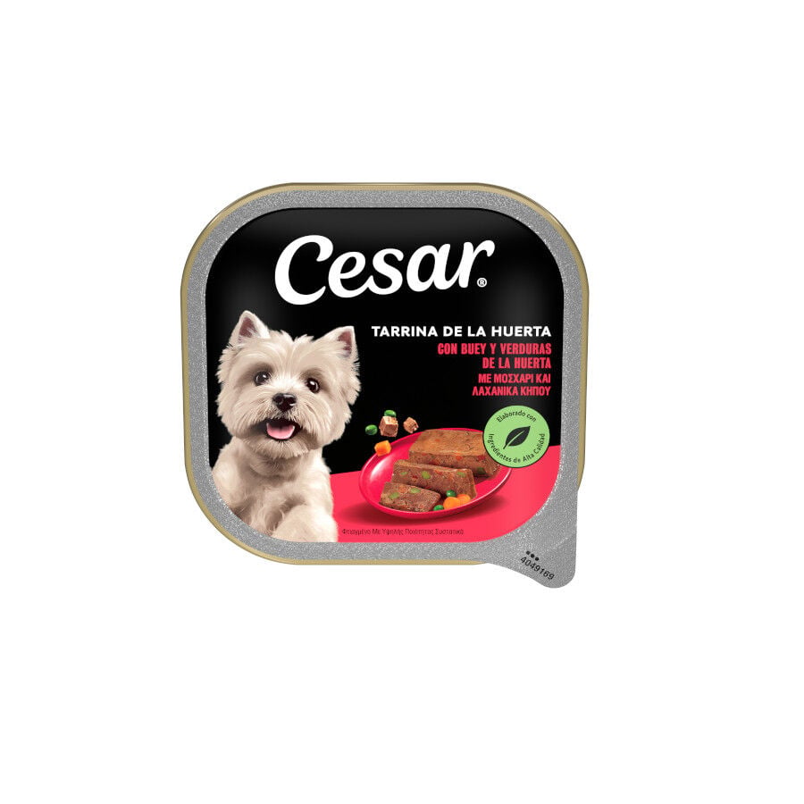 300 g Cesar Buey y Verduras Tarrina en Gelatina para Perros, , large Imagen numero 1