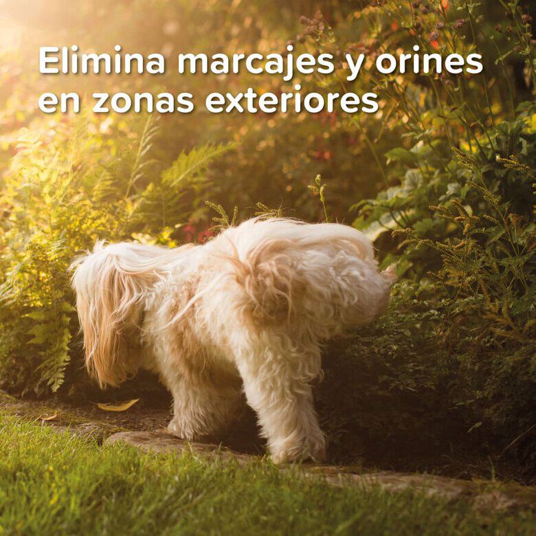Beaphar Spray Educador para Exterior para perros y gatos, , large Imagen numero 3
