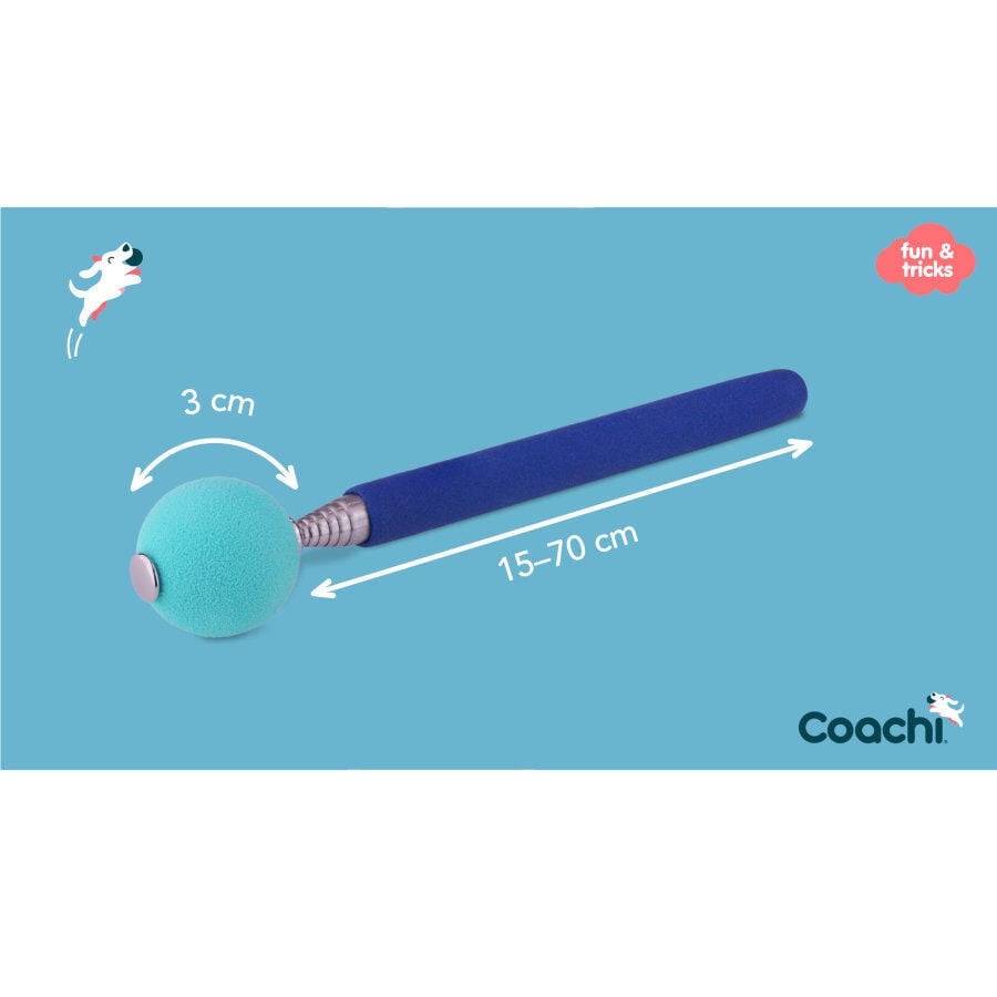Coachi Target Stick juguete de adiestramiento para perros, , large indicador imagen numero 5