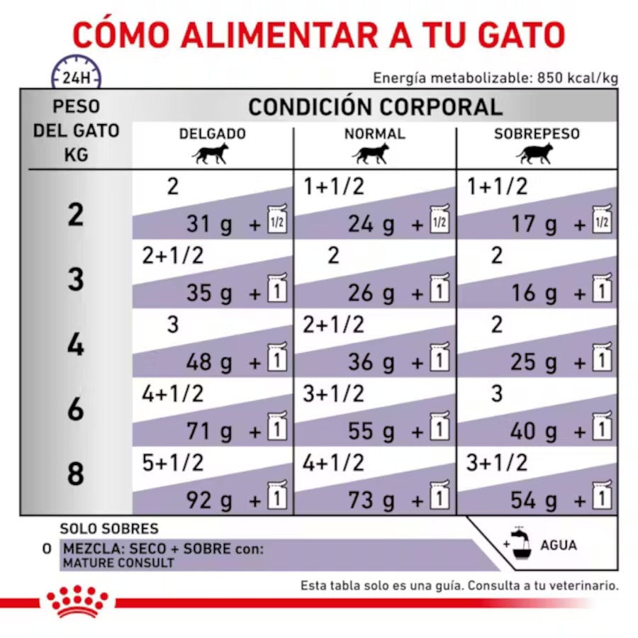 12 sobres x 85 g Royal Canin Mature Consult L&aacute;minas en Salsa Sobre para gatos, , large indicador imagen numero 3