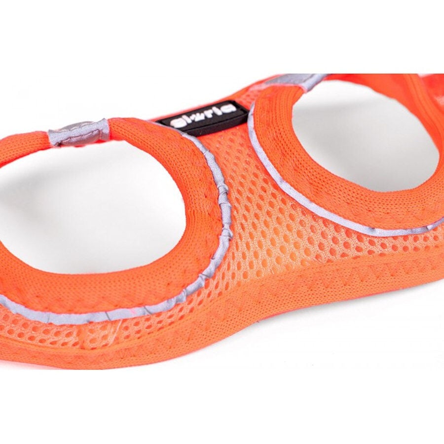 Gloria Air Mesh Trek Star Naranja Arn&eacute;s/Vestido para perros, , large indicador imagen numero 3