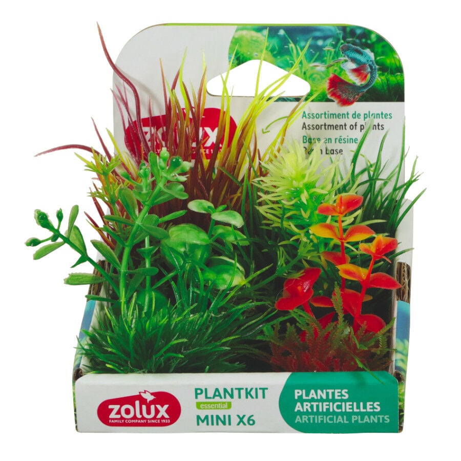 Zolux Plankit Mini 6 plantas artificiales para acuarios