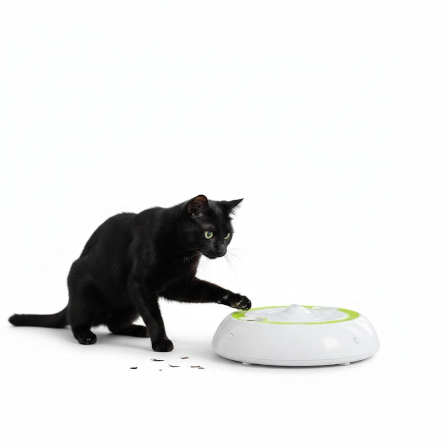 All For Paws Interactives Juguete Wack 'A' Preyr para gatos, , large Imagen numero 3