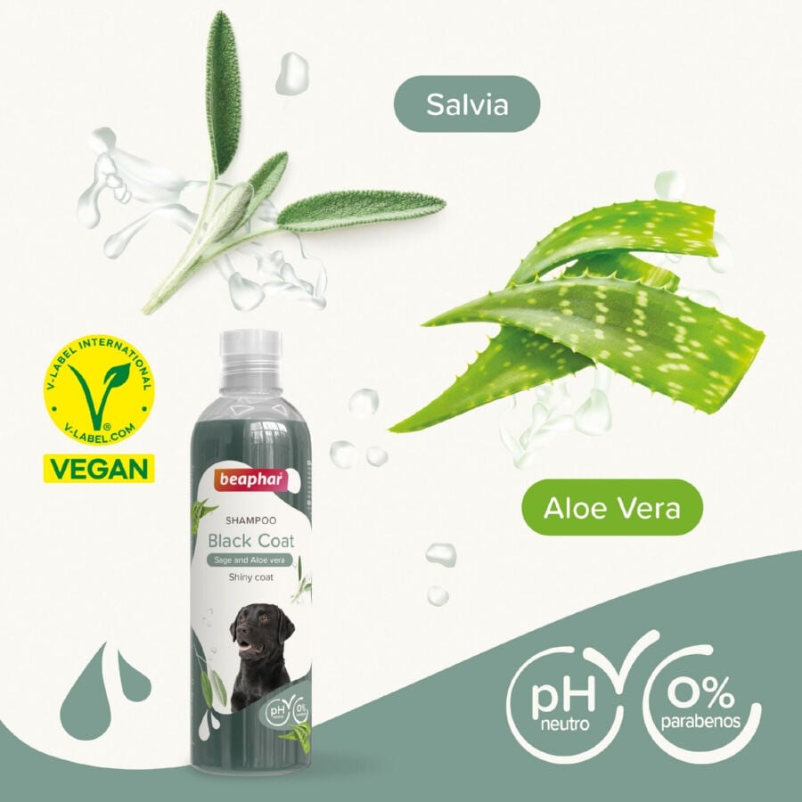 Beaphar Pelo Negro Champ&uacute; para perros, , large indicador imagen numero 2