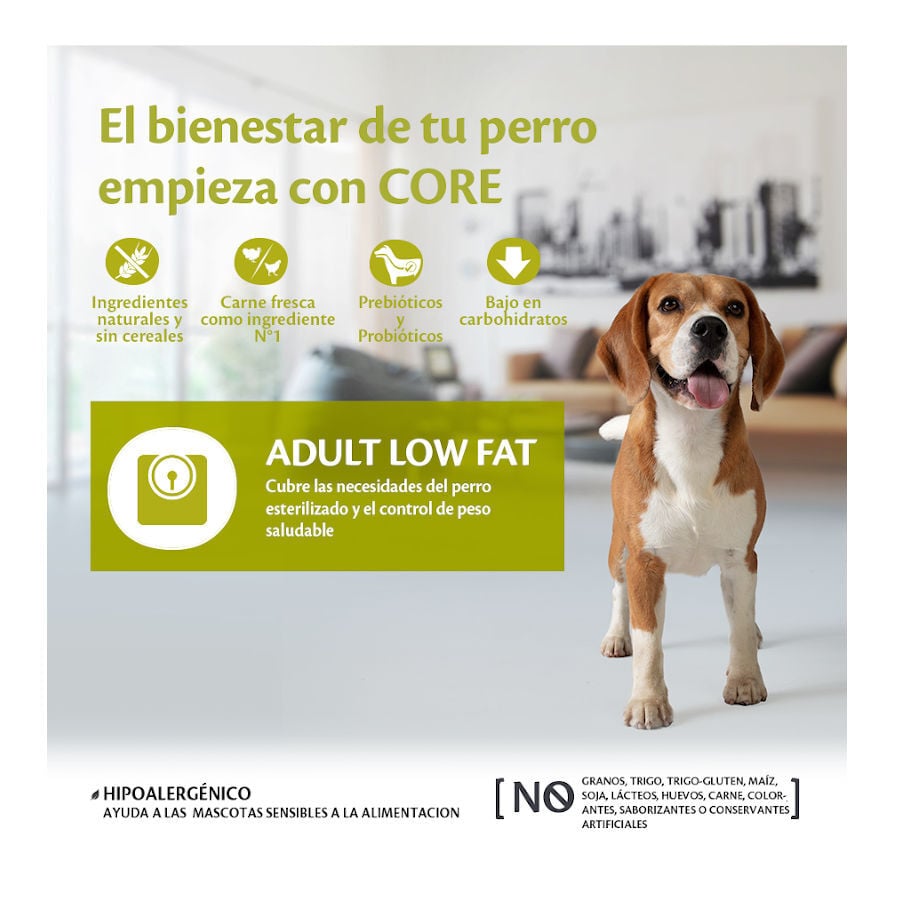10 kg Wellness Core Adult Medium/Large Healthy Pavo Low Fat pienso para perros, , large indicador imagen numero 2