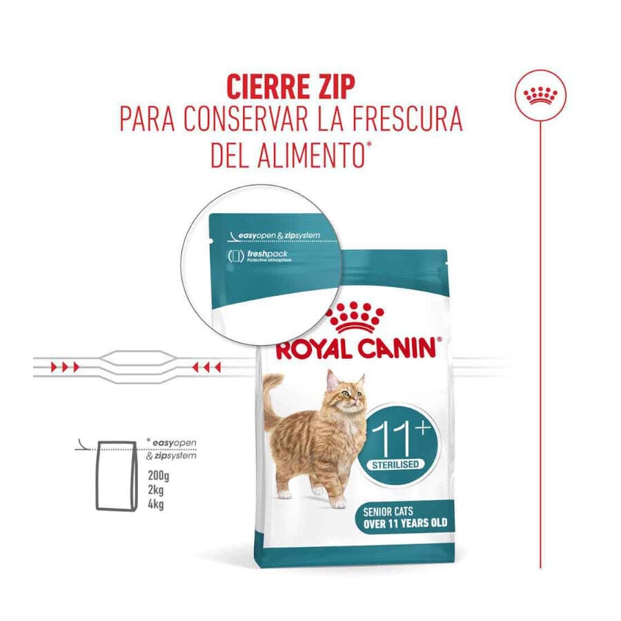 4 kg Royal Canin Ageing 11+ Sterilised pienso para gatos&nbsp;senior, , large Imagen numero 7
