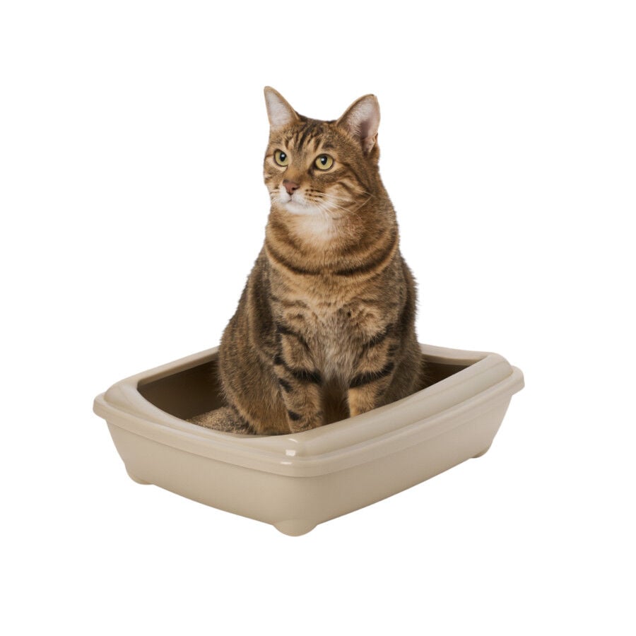 Nice Care Bandeja Sanitaria Beige para gatos , , large indicador imagen numero 1