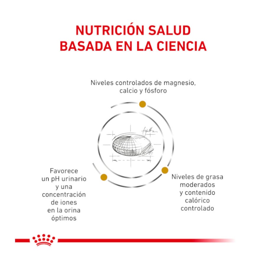 12 sobres x 85 g Royal Canin Veterinary Urinary Moderate Calorie sobres para gatos, , large indicador imagen numero 3