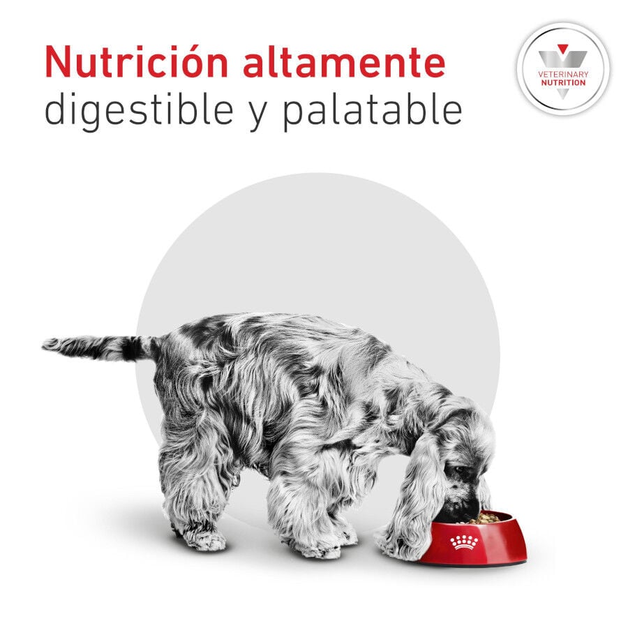 1.5 kg Royal Canin Glycobalance Pienso para perros, , large indicador imagen numero 5